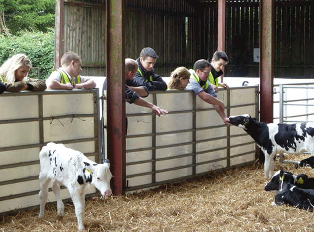 Dairy Crest Skills Week