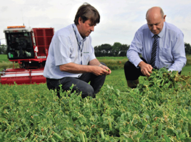 Princes makes commitment to British fruit&veg farmers