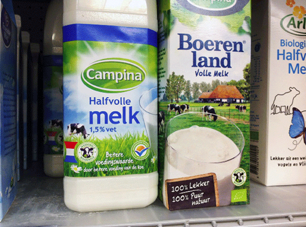 Dutch milk graze bottle
