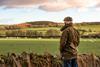 Senior man looking at field with sheep - stock photo