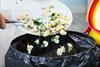 food waste