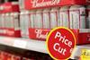 price cut promotion one use