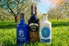 6oclock gin DB & Y Gin (1)