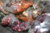 food waste industry fruit veg GettyImages-497479184