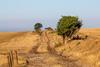 Drought Sussex heatwave farm climate field parched hot weather GettyImages-1000918954