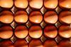 Fresh brown chicken eggs in a cardboard crate tray under warm natural sunlight, top view. - stock photo