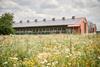 HEIDEMARK poultry barn