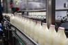glass milk bottles on conveyor belt