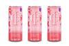 Echo Falls Fruit Fusion Summer Berries Spritz