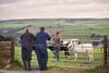 farmers farming people family