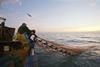 Men bringing in a net on a trawler at sunrise