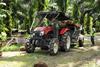 tractor forest palm oil