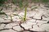 dry earth drought climate change