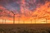 wind turbines field crops environment sunset
