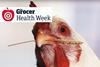 Health Week Overlays(3)
