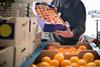 fruit suppliers crate peach orange farmer GettyImages-129300369