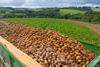 potatoes in truck next to field - getty