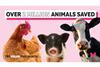 UK 1M Animals Saved