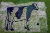 SWNS_COW_ART_4 (2)