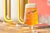 SAN MIGUEL