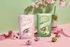 LINDOR FLAVOURS