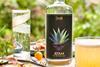 Ayam Indian Agave