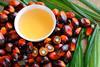 Palm Oil