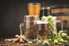 How hops, barley and beer impact the environment