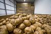 Potatoes in grower store