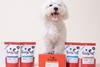 Gut Health range and dog