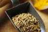 cumin harvest grain 