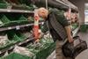 supermarket shopper man basket co op coop cucumber fruit veg GettyImages-1467052194