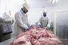 Two men working in a meat processing factory