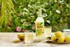 Belvoir Farm Freshly Squeezed Lemonade