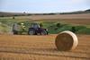 harvest on farm - getty