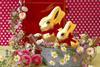 lindt1_813740