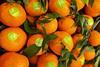 Bio Dima Oranges