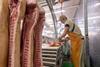 Meat factory carbon dioxide
