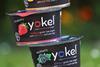 Yokel yoghurt