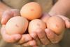 british lion eggs beic