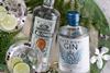 Aldi spirits