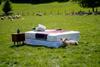 John Lewis Classic mattress on location at Waitrose sheep farm 2