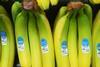 databar barcode bananas
