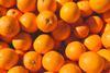 oranges unsplash
