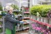 waitrose plants garden
