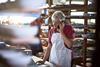 sme small business phone order