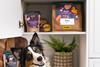 Storage with dog