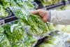 prepared bagged salad fresh