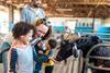 farm goat family kids tour