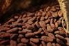 Cocoa2